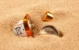 Storing energy in sand: a new green solution