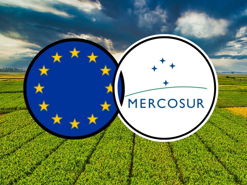 Lire la suite à propos de l’article UE-Mercosur :  quand le libre-échange défie le droit de l’environnement