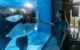 Marineland, illustration de 100 ans d’utilisation d’animaux comme divertissement