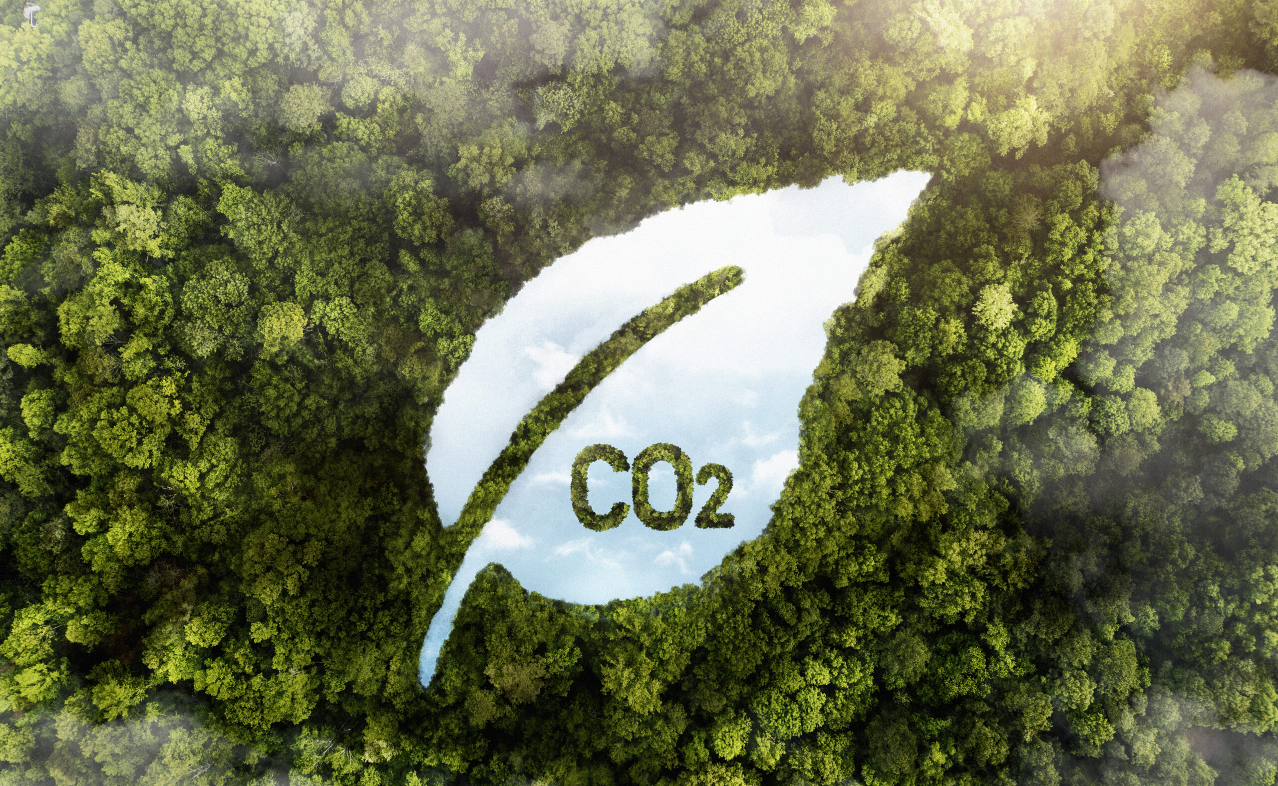 Lire la suite à propos de l’article Un marché unique du CO2, Pourquoi ne pas laisser cette décision aux États membres ?