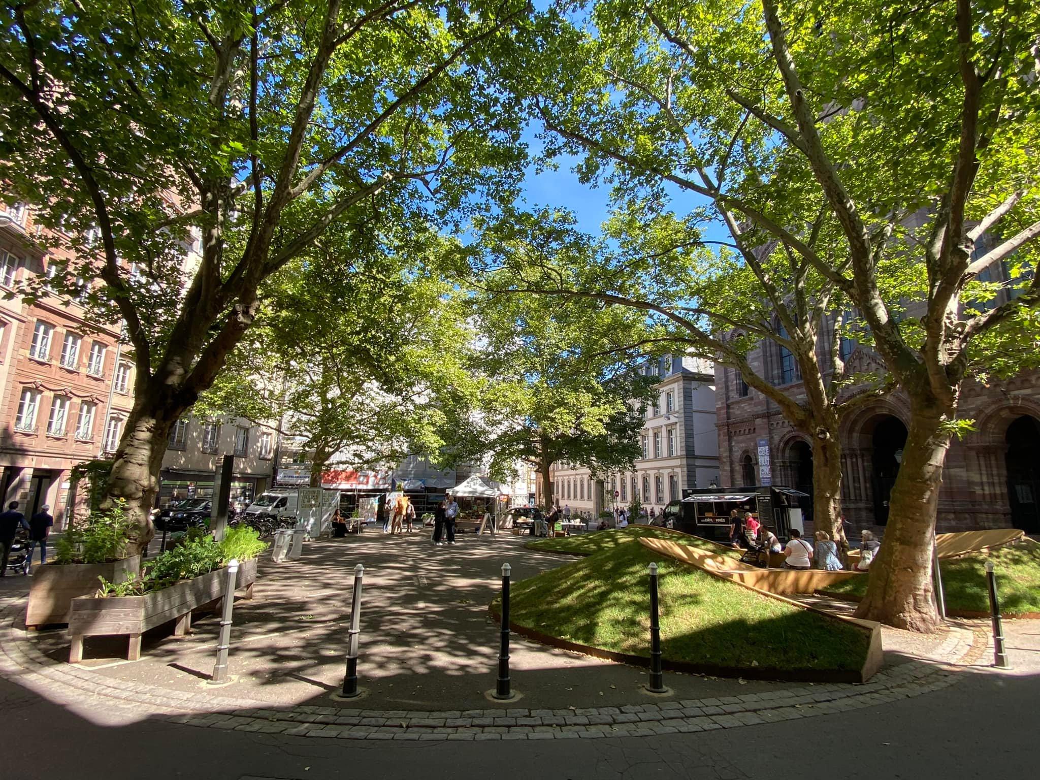 You are currently viewing Chaleur en ville : la climatisation est-elle vraiment la solution ?